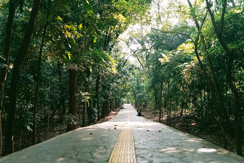 Hutan Kota Srengseng