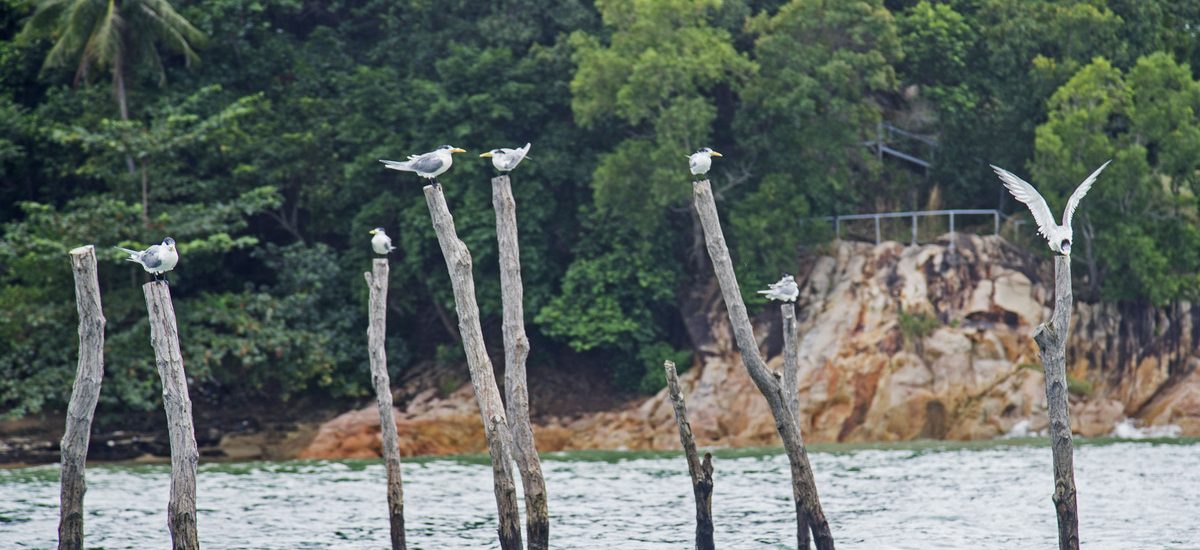 wisata misteri paling seram pulau batam