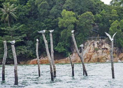 wisata misteri paling seram pulau batam