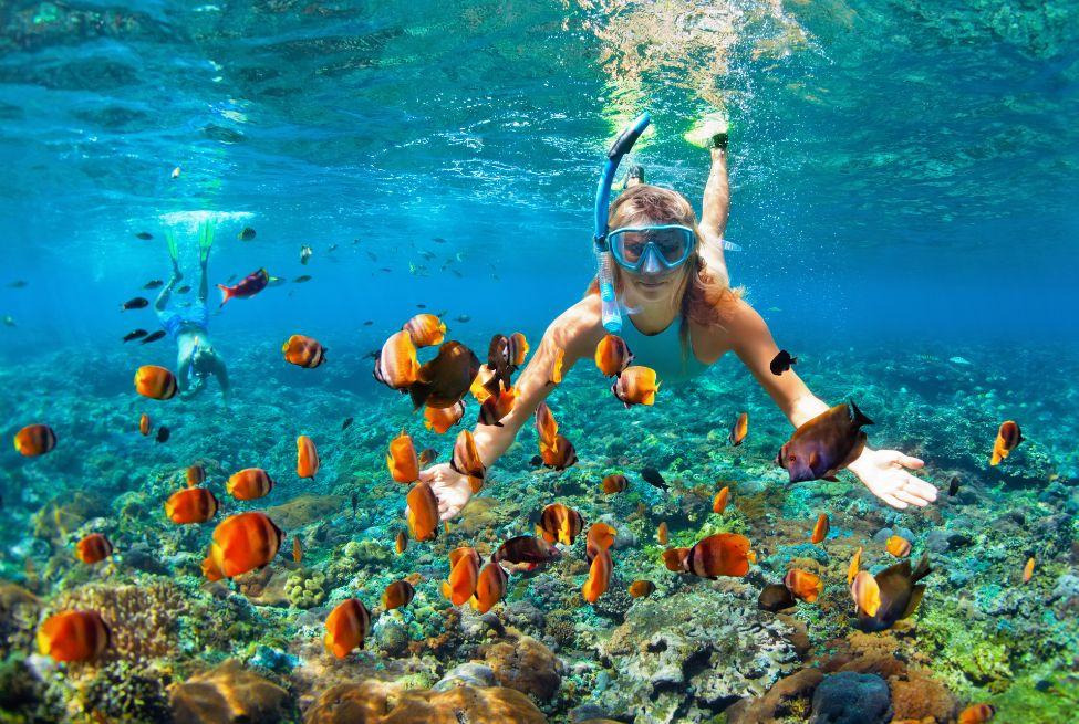 7 Hidden Spot 2025: Lokasi Diving Tersembunyi yang Wajib Kamu Jelajahi