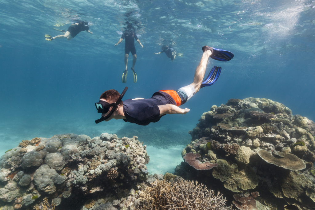 7 Hidden Spot 2025: Lokasi Diving Tersembunyi yang Wajib Kamu Jelajahi