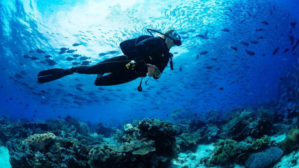 7 Hidden Spot 2025: Lokasi Diving Tersembunyi yang Wajib Kamu Jelajahi