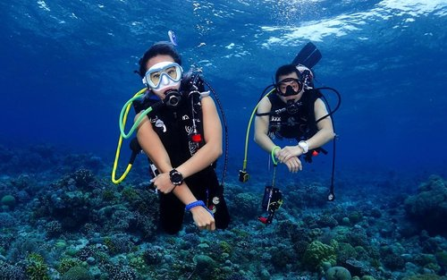 7 Hidden Spot 2025: Lokasi Diving Tersembunyi yang Wajib Kamu Jelajahi