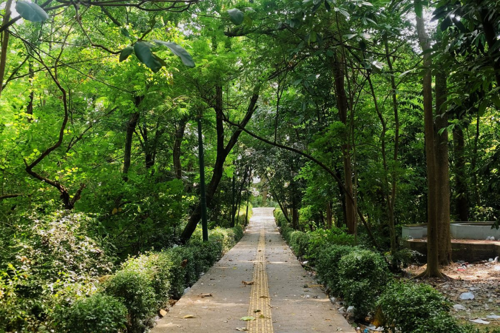 15 Hidden Gems Jakarta 2025: Spot Urban Secret Terbaik untuk Gen Z