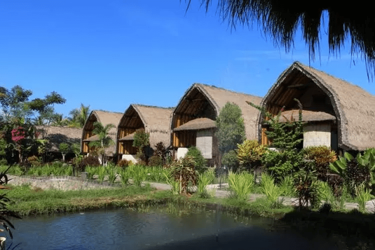 6 Daya Tarik Tetebatu Lombok Desa Wisata UNWTO