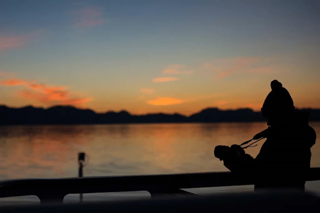 Sunrise Alaska Pemandangan Magis Terbaik 2026