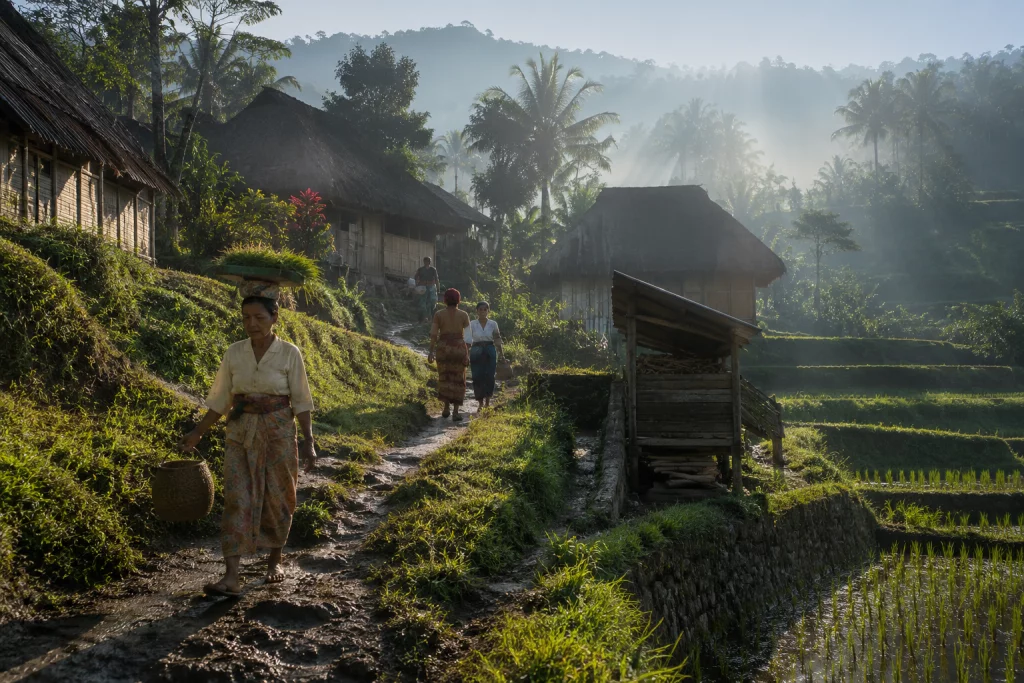 Tetebatu Lombok 2026, Ternyata Lebih Damai dari Ubud dan Gratis Macet
