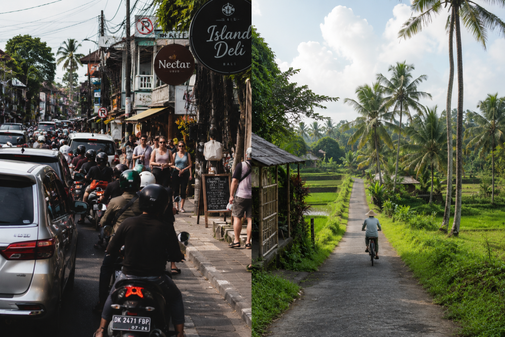Tetebatu Lombok 2026, Ternyata Lebih Damai dari Ubud dan Gratis Macet