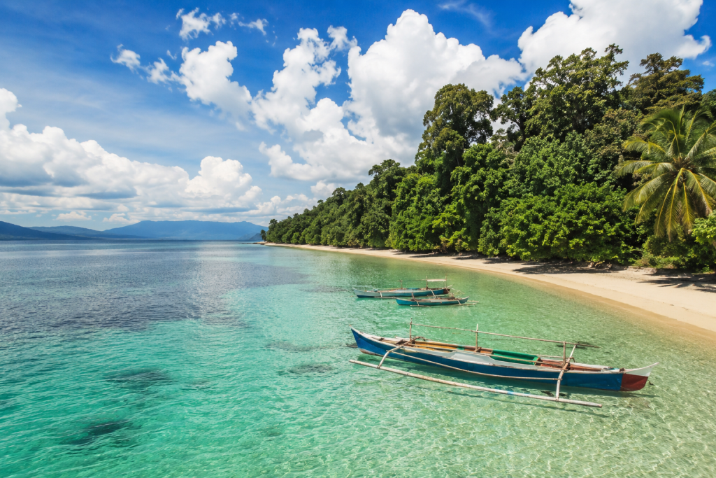 Pesona alam pesisir perawan di Kabupaten Nabire Papua yang mulai menerima pemesanan akomodasi internasional.