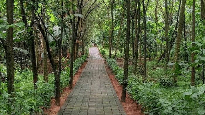 Hutan Kota Indraloka di Cipayung Jadi Hidden Gem Gratis Rasa Majapahit
